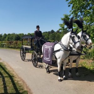 Traditional horse drawn hearse